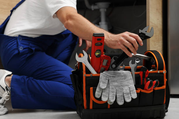 Best Residential Plumbing Services  in Westland, MI
